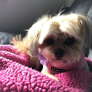 Meet your Posher, Caitlin